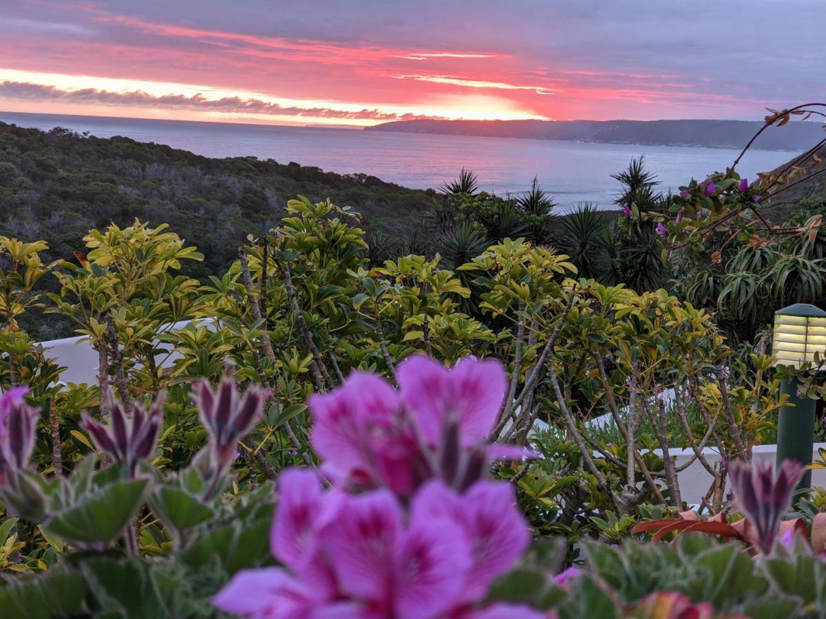 Villa Cape Garden Route Вілдернесс Екстер'єр фото