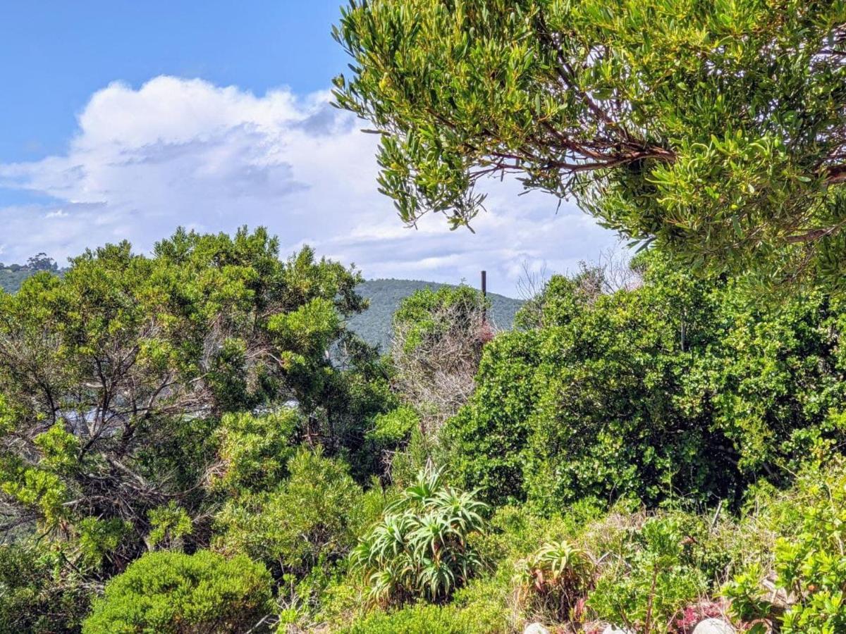 Villa Cape Garden Route Вілдернесс Екстер'єр фото